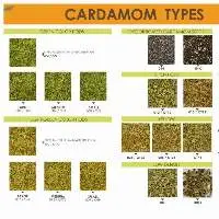 Cardamom