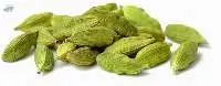 Cardamom