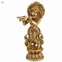 Elegant Standing Krishna Murti