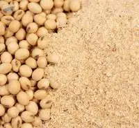 Soybean Meal