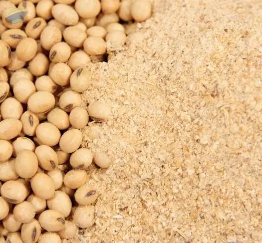 Soybean Meal