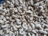 Cashew Nut