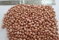 Peanut Kernel - Java