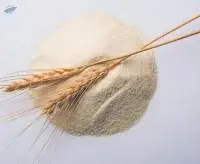 Semolina