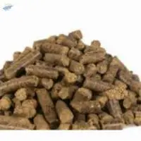 Copra Meal
