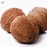 Semi Husked Coconut