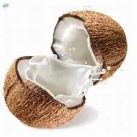 Coconut Milk/Cream