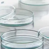 Petri Dishes