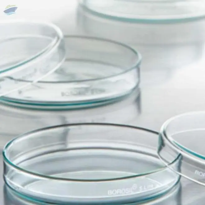 Petri Dishes