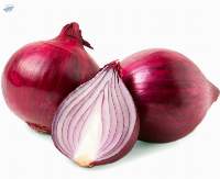 Red Onion