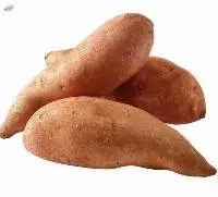 Sweet Potato