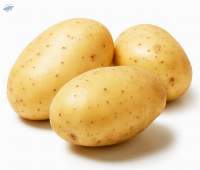 Potato