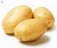 Potato