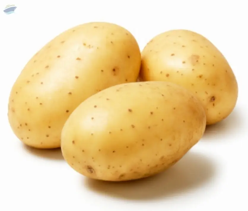 Potato