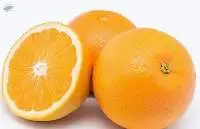 Valencia Orange