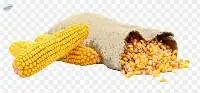 Yellow Corn
