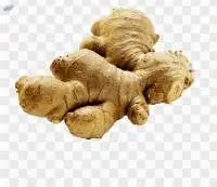 Ginger