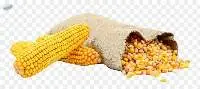 Milho Non Gmo
