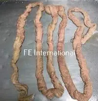 Pork Intestine