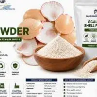 Scallop Shell Powder