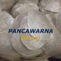 Sea Shell Calcium Carbonate
