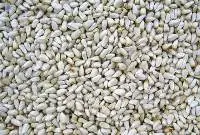 Safflower Seeds