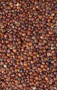 Red Quinoa