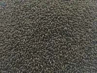 Basil Seeds / Sabja Seeds , Tulsi Bij