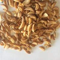 Dehydrated Garlic Flakes