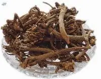 Akarkara Roots , Anacyclus Pyrethrum