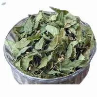 Neem Leaves , Azadirachta Indica