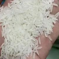 ST Rice (ST21/ ST25)