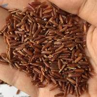 Red Rice