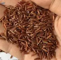 Red Rice