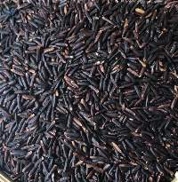 Black Rice