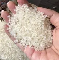 Japonica Rice