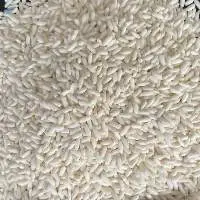 Glutinous Rice