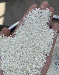Rejected Rice