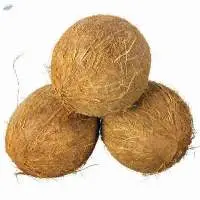 Dehusked Coconut