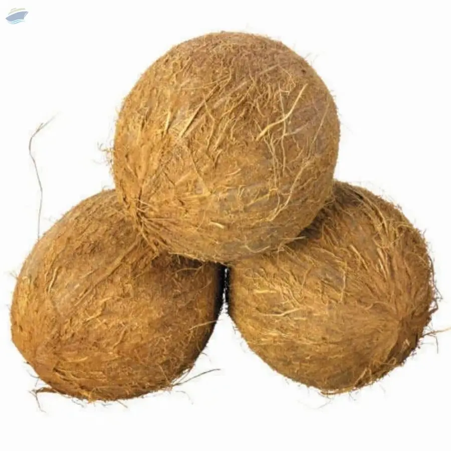 Dehusked Coconut