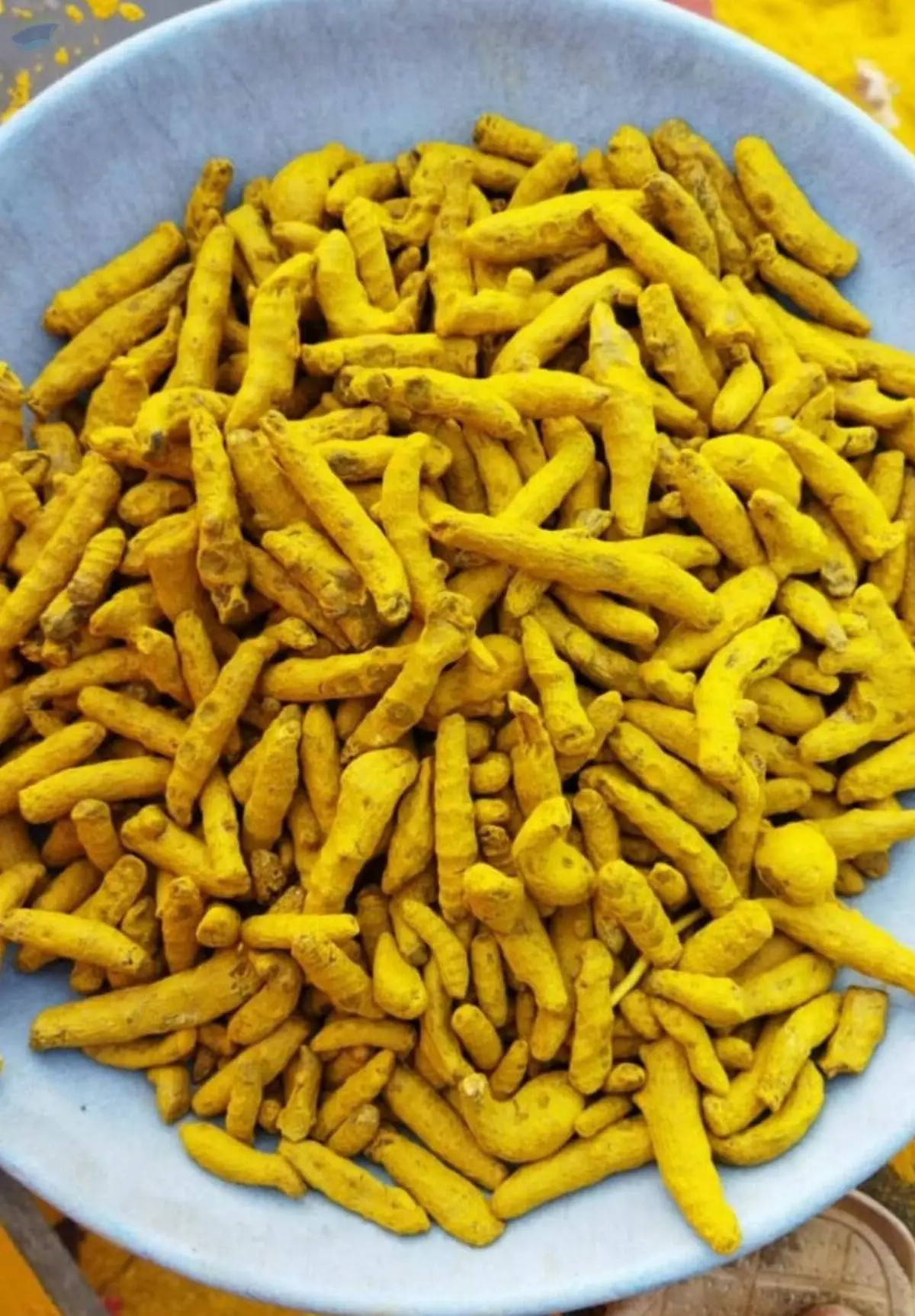 Turmeric 