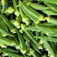 Okra / Lady Finger / Bhindi