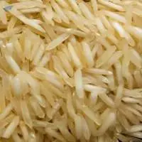 1121 Basmati Rice Varieties
