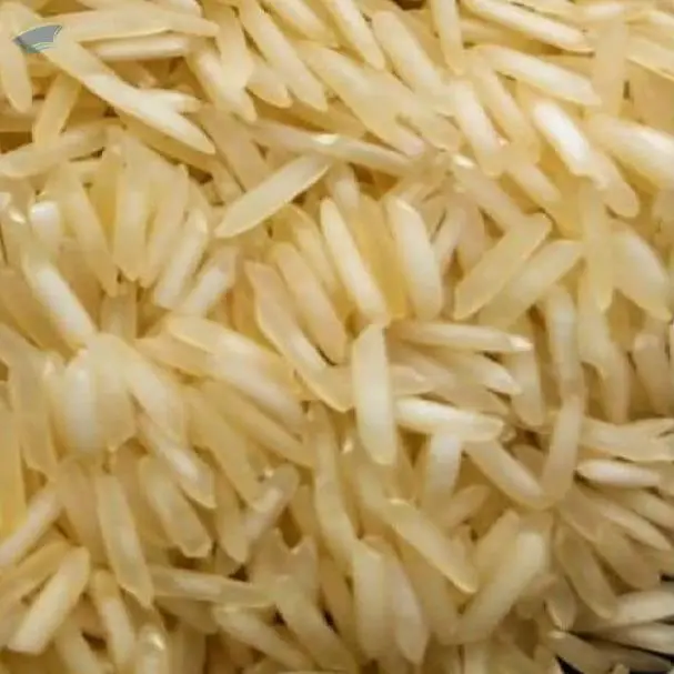 1121 Basmati Rice Varieties