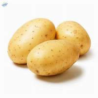 Potato