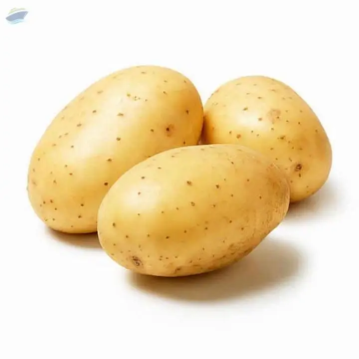 Potato