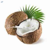 Coconut