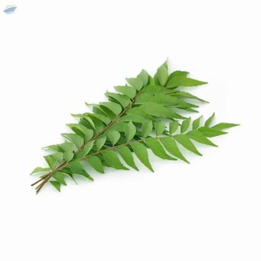 Curry Leaves