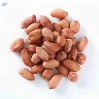 Peanuts