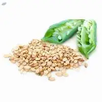 Sesame Seeds